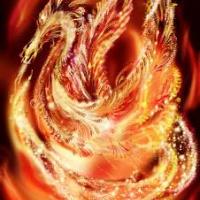 Sarah Chiang's avatar