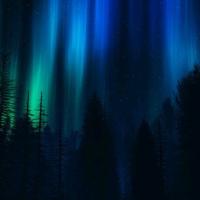 Avatar of Shireen Malviya