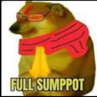 Avatar of Shrey Saxena