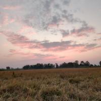 Avatar of Shubh Chauhan