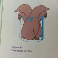 Avatar of Sigurður Snæbjörn Stefánsson