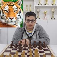 Avatar of Sina Movahed