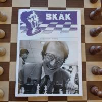 Avatar of skakmadurinn