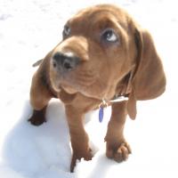 GEOFFREY J COLLINS's avatar