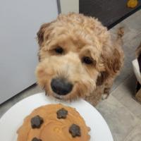 Avatar of Spencer Doe