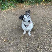 Avatar of smithy5552