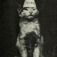 Avatar of SMO Carlsen