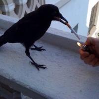 Avatar of Alain Otero Marino