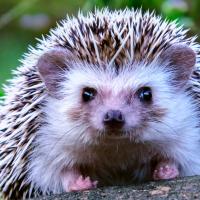 Andrew Horton's avatar