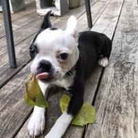 Avatar of Kyle Spangler