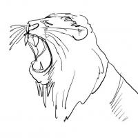 Andrew Hong's avatar