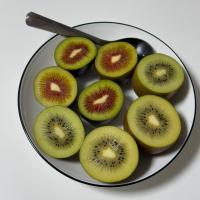 Avatar of namhun kim