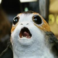 Avatar of StagsAndStarWars