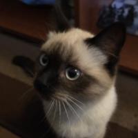 Avatar of Iván González Menéndez