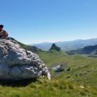 Avatar of Zdravko Vukovic