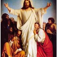 Avatar of Steviyo Xavier