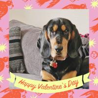 Toni Halliwell's avatar