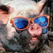 Tomi Nyback's avatar