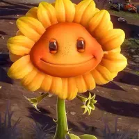 Avatar of Sunflower