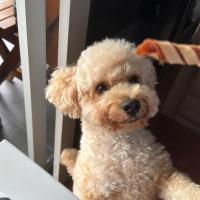 Avatar of sunnynotreine