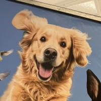 Avatar of SuperMusclor3000