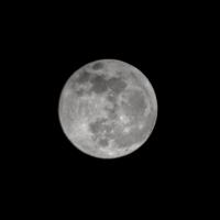 Avatar of Player Omega