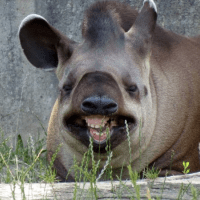 Avatar of Aleksander Kardaś