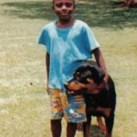 Avatar of Lion Mashinge