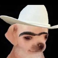 Avatar of bonqueque Tyron