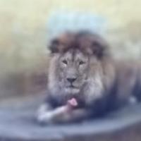 Avatar of Collin Colbow