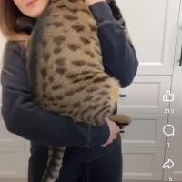 Avatar of Athina Papa