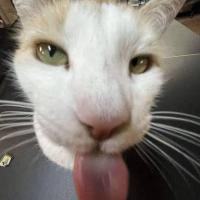 Avatar of tataraaa19