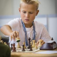 Avatar of Artjoms Tolmacevs