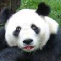 Avatar of Jonas Oskarsson