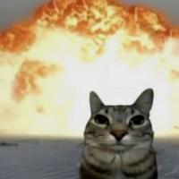 Ilya Afineevskij's avatar