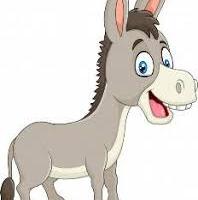 Avatar of Luiz Miguel Paiva Dalla Villa