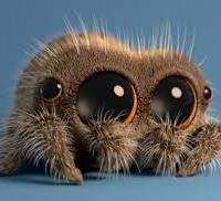 Avatar of the-itsy-bitsy-spider