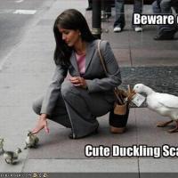 Avatar of Roger LaFlair