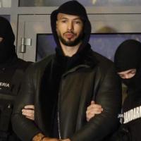 Tanmay Jain's avatar