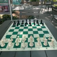 Avatar of thechesscorner 64