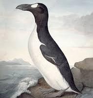 Oliver Picken's avatar