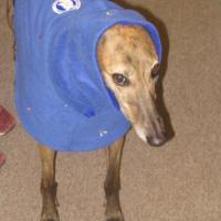 Carey Theil's avatar