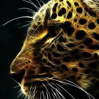 Lenin Odin Chavez Dominguez's avatar