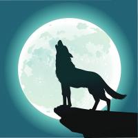 Avatar of TheKingWolf_1