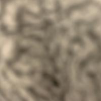 Avatar of TheKnight_OnTheRim