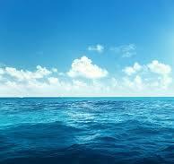 Michele Sagripanti's avatar