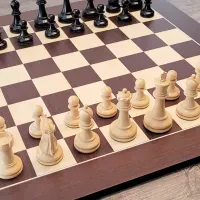 Avatar of theprocessofchess