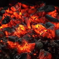 Avatar of Gary Fischer