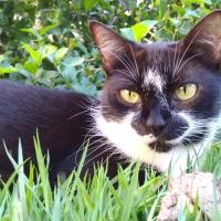 Avatar of TheSpekkio