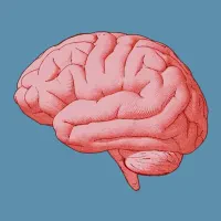 Avatar of TheVastIntelligance